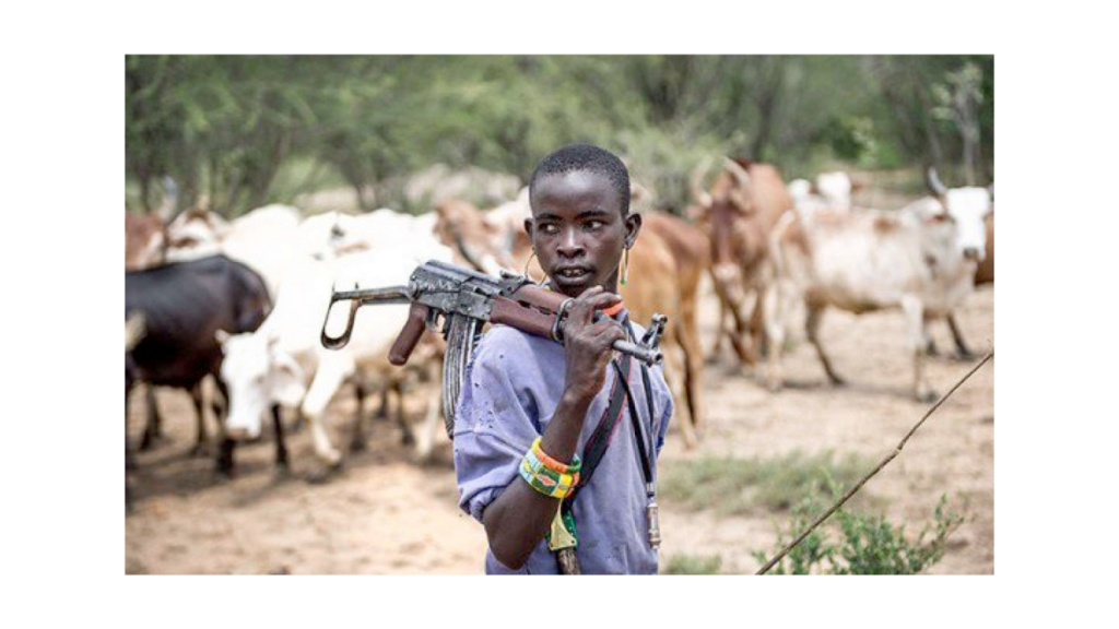 The assumed Boko Haram influence in the Fulani herdsmen’s clashes with settled communities is misguided